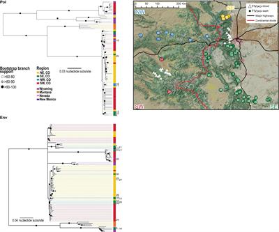 Viral Sequences Recovered From Puma Tooth DNA Reconstruct Statewide Viral Phylogenies